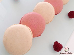 MACARONS DULCE CELEBRACION